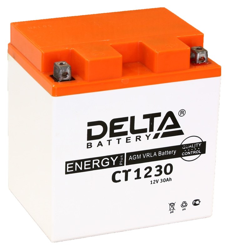 батарея Delta CT CT 1230 (YTX30L, YB30L-B) (CT 1230)                              30ah 12V - купить в Нижнем Новгороде